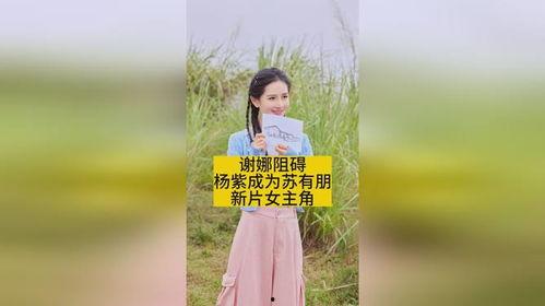 苏有朋最新爆料杨紫新剧,杨紫新剧来袭！苏有朋最新爆料揭秘剧情看点