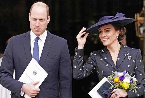 王室最新爆料新闻视频播放,最新爆料视频深度解析